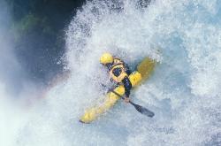  明尼苏达森林狼微博 